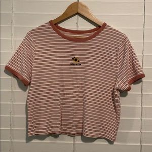Hollister embroidered crop tee